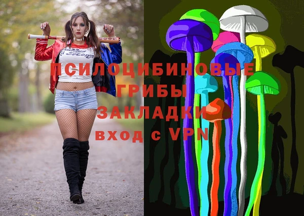 стафф Абдулино
