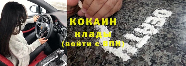 ПСИЛОЦИБИНОВЫЕ ГРИБЫ Алексин